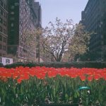 Letter to the streets