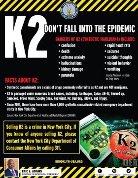 (Flyer via Brooklyn Borough President Eric Adams)