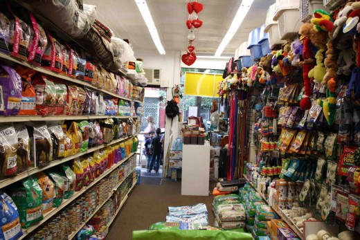 Pet supplies! (Photo: Natalie Rinn) 
