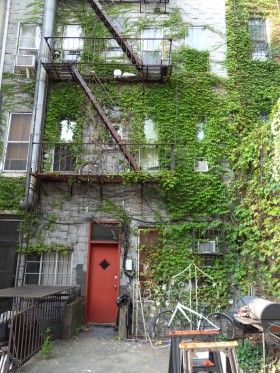 The backyard. (Photo: Kristy Ann Muniz)