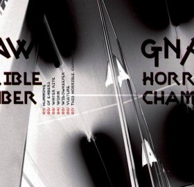 1236567_386666221461365_1468622027_n