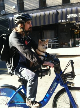 (Photo: Kristin Koslowski)