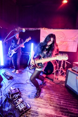 Heliotropes (Photo: Gustavo Ponce)