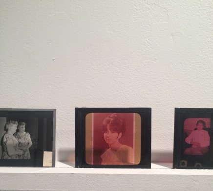 Harry Benjamin, Lecture Slides. (photo: Cassidy Dawn Graves)