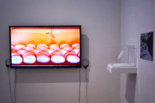 Agnes Meyer-Brandis (photo courtesy of apexart-nyc)