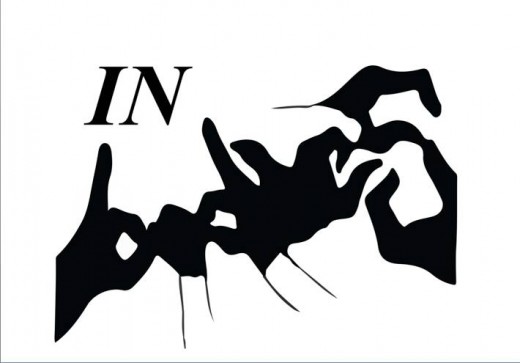 (photo via Gabrielle Jensen / Facebook)