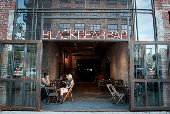 Black Bear (Photo by Liz Clayman)