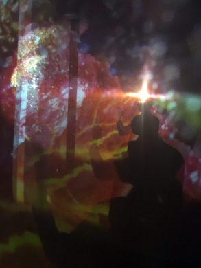 A patron takes a photo on the second floor of "Pixel Forest" (photo: Cassidy Dawn Graves)