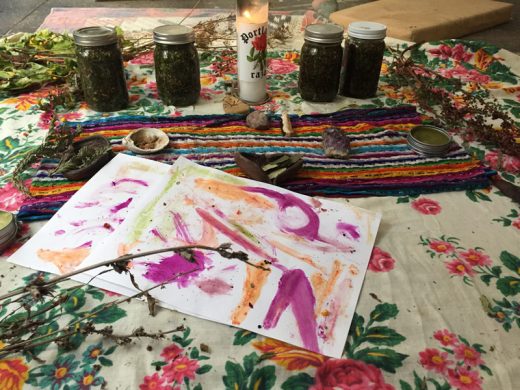 Herbal Workshop with Antonia Perez, Installation shot (image courtesy of Recess)