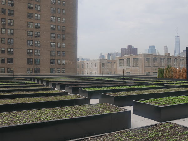 urban farm and better view_opt